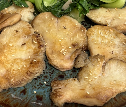 Mushroom Steak