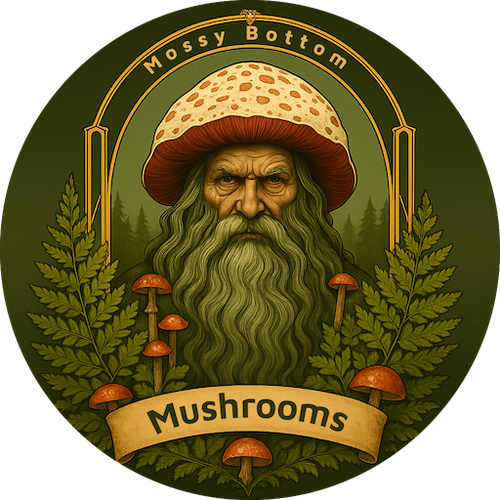 Mossy Bottom Mushrooms